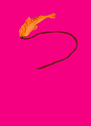 Program Images