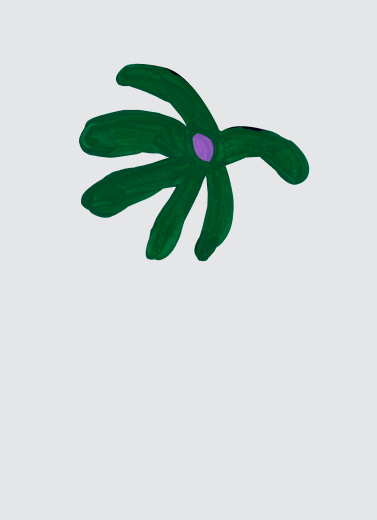 Program Images